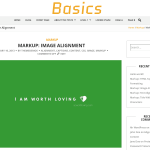 BCorp Basics