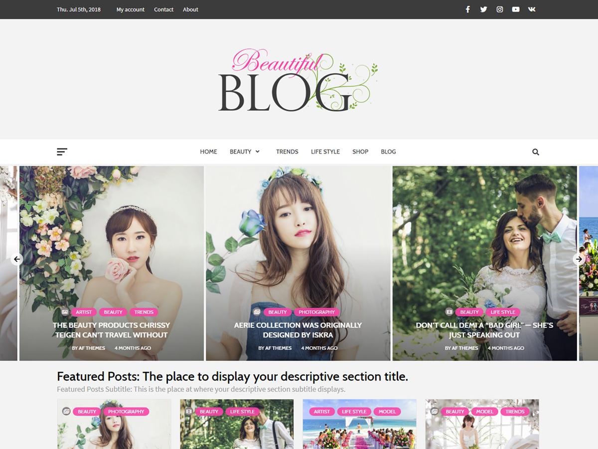Beautiful Blog Preview Wordpress Theme - Rating, Reviews, Preview, Demo & Download