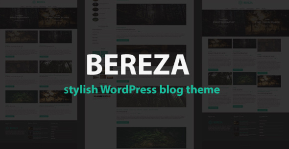 Bereza Preview Wordpress Theme - Rating, Reviews, Preview, Demo & Download