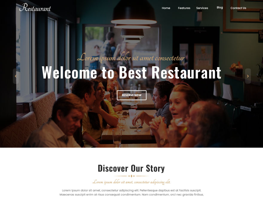 Best Restaurant Preview Wordpress Theme - Rating, Reviews, Preview, Demo & Download