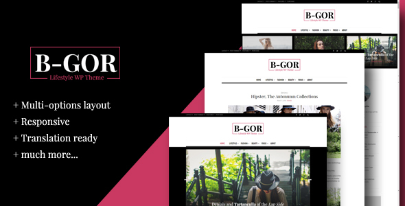 Bgor Preview Wordpress Theme - Rating, Reviews, Preview, Demo & Download