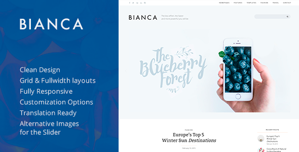 Bianca Preview Wordpress Theme - Rating, Reviews, Preview, Demo & Download