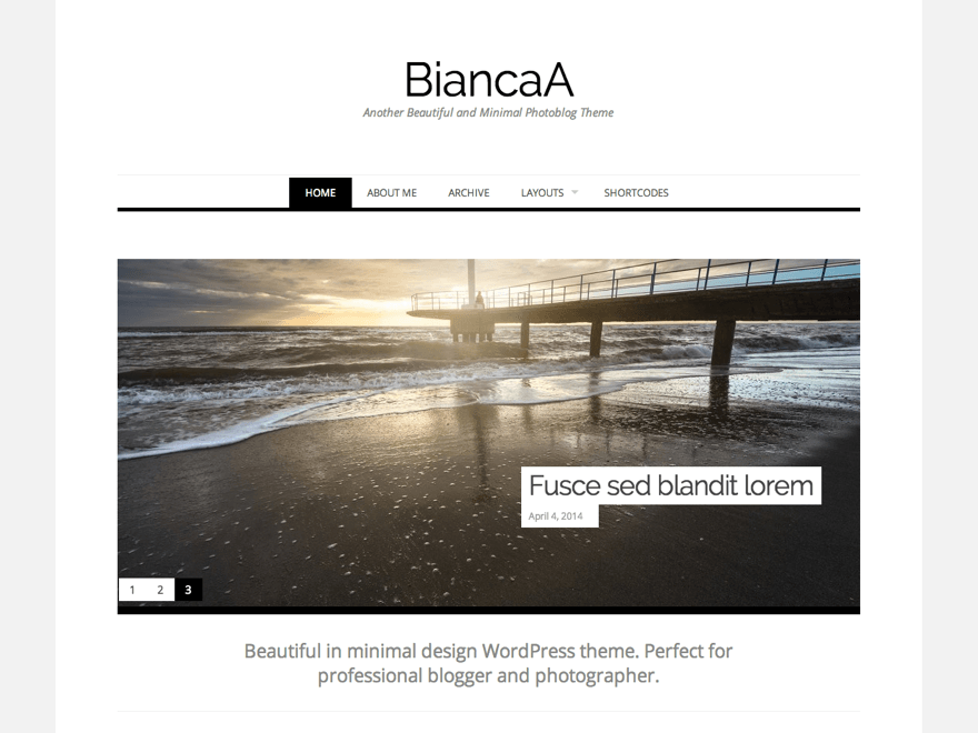 Biancaa Preview Wordpress Theme - Rating, Reviews, Preview, Demo & Download