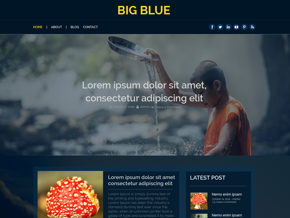 Big Blue Preview Wordpress Theme - Rating, Reviews, Preview, Demo & Download