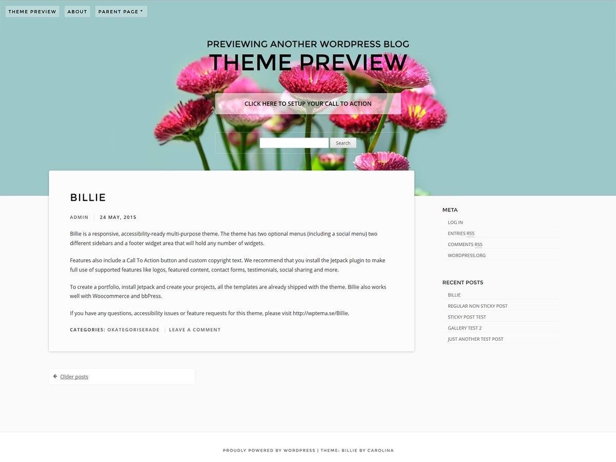 Billie Preview Wordpress Theme - Rating, Reviews, Preview, Demo & Download