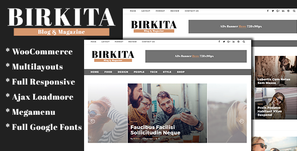 Birkita Preview Wordpress Theme - Rating, Reviews, Preview, Demo & Download