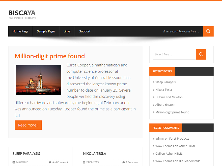 BiscayaLite Preview Wordpress Theme - Rating, Reviews, Preview, Demo & Download