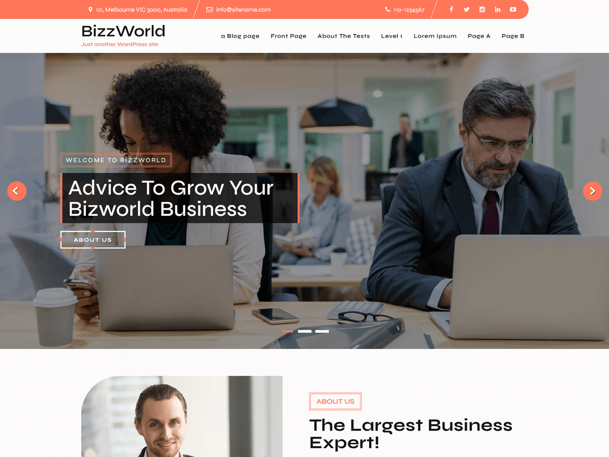 Bizworld Lite Preview Wordpress Theme - Rating, Reviews, Preview, Demo & Download