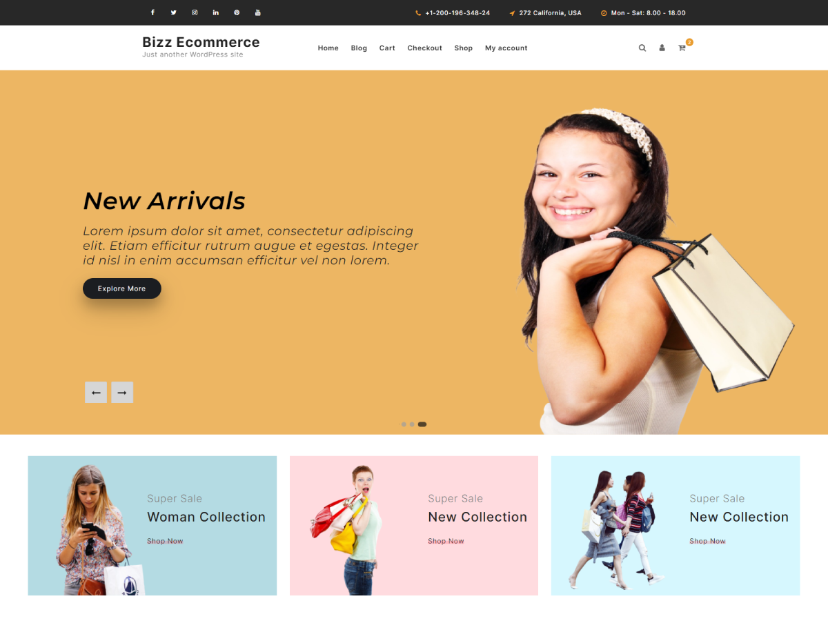 Bizz Ecommerce Preview Wordpress Theme - Rating, Reviews, Preview, Demo & Download