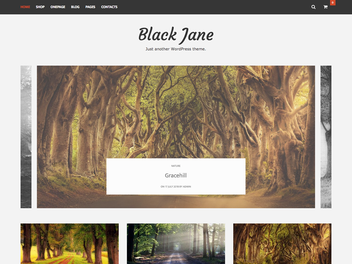 Black Jane Preview Wordpress Theme - Rating, Reviews, Preview, Demo & Download
