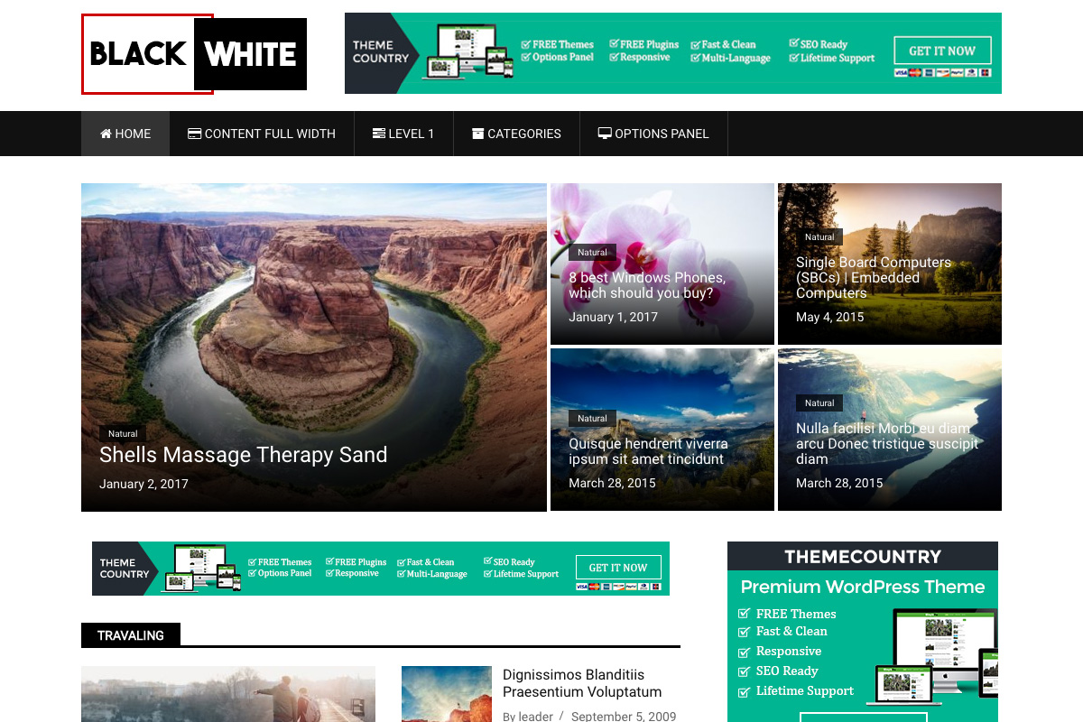 BlackWhite Lite Preview Wordpress Theme - Rating, Reviews, Preview, Demo & Download