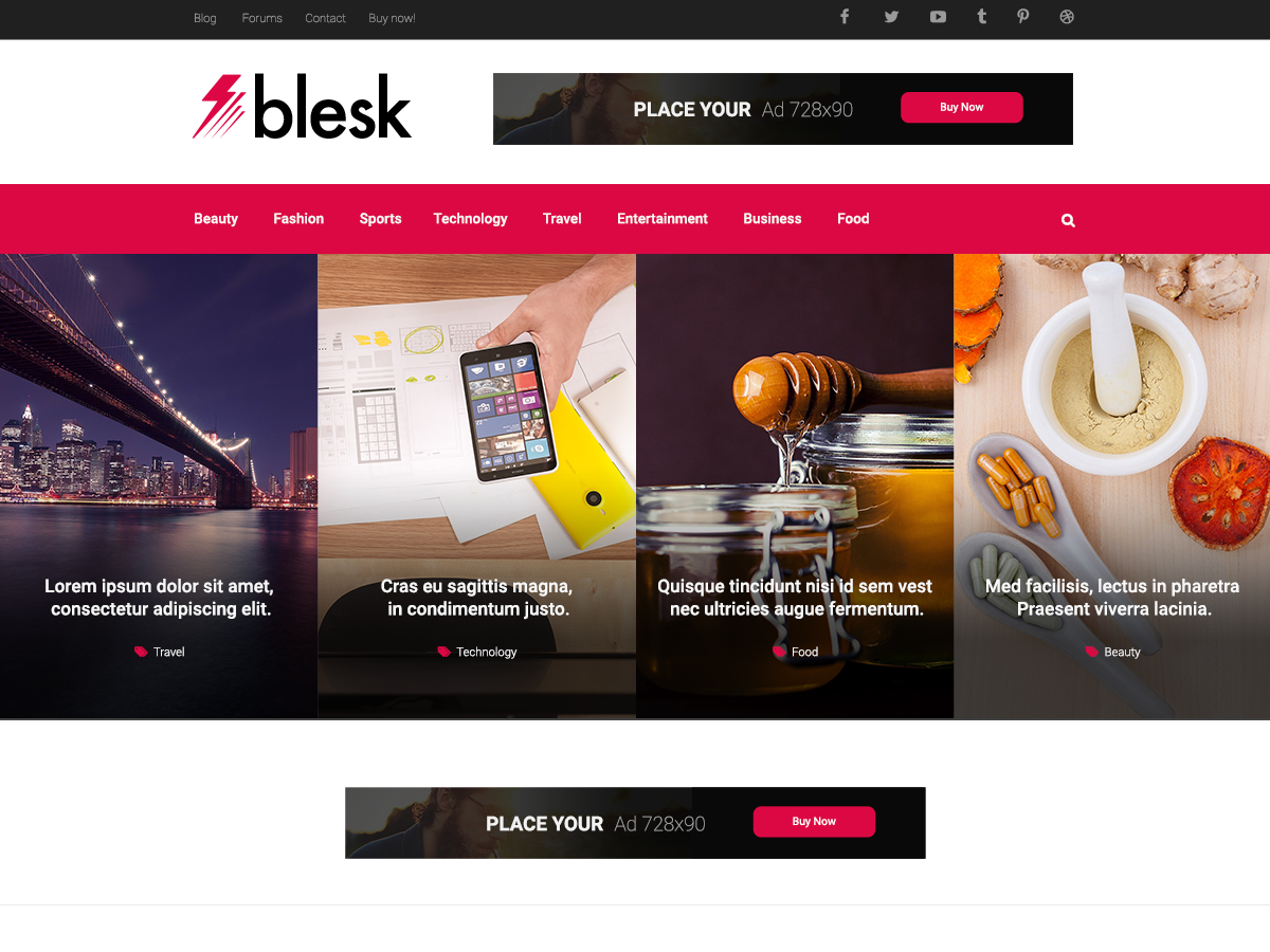 Blesk Preview Wordpress Theme - Rating, Reviews, Preview, Demo & Download