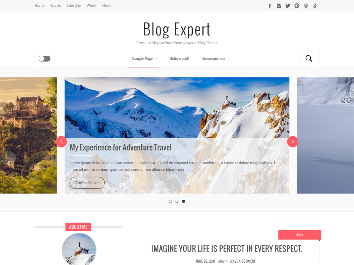 Blog Expert Preview Wordpress Theme - Rating, Reviews, Preview, Demo & Download
