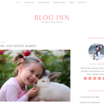 Blog Inn