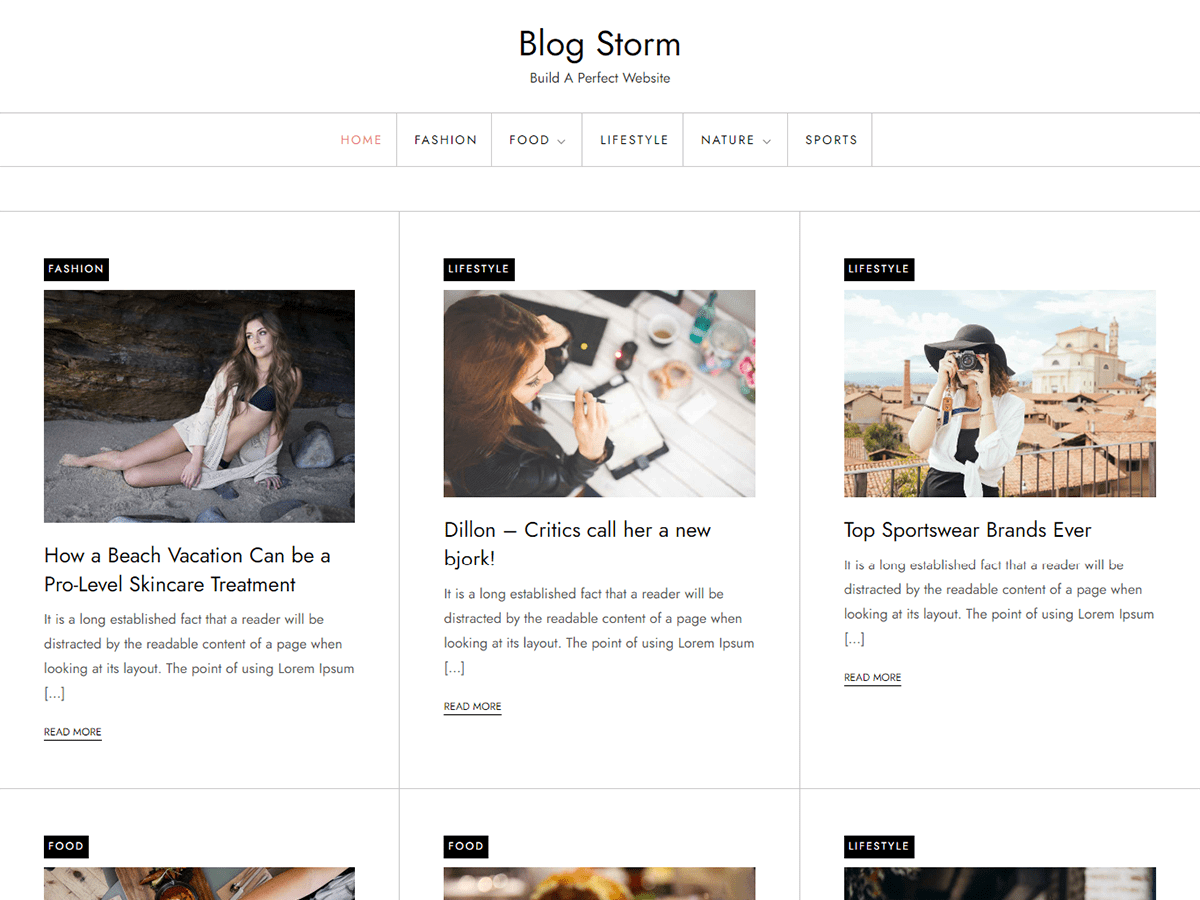 Blog Storm Preview Wordpress Theme - Rating, Reviews, Preview, Demo & Download