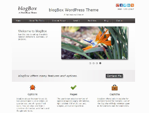 BlogBox Preview Wordpress Theme - Rating, Reviews, Preview, Demo & Download