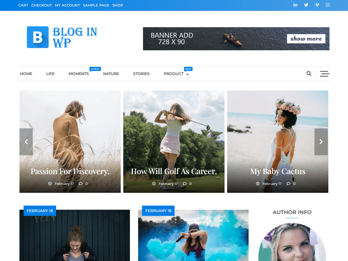 Bloginwp Preview Wordpress Theme - Rating, Reviews, Preview, Demo & Download
