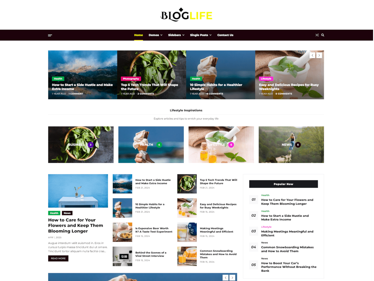 Bloglife Preview Wordpress Theme - Rating, Reviews, Preview, Demo & Download