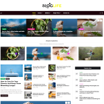 Bloglife