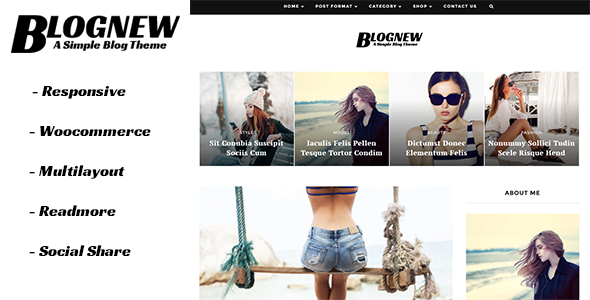 Blognew Preview Wordpress Theme - Rating, Reviews, Preview, Demo & Download