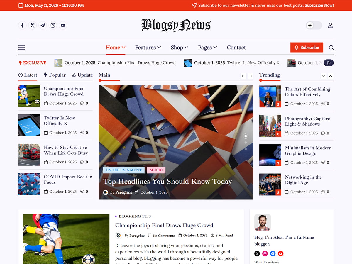 Blogsy News Preview Wordpress Theme - Rating, Reviews, Preview, Demo & Download