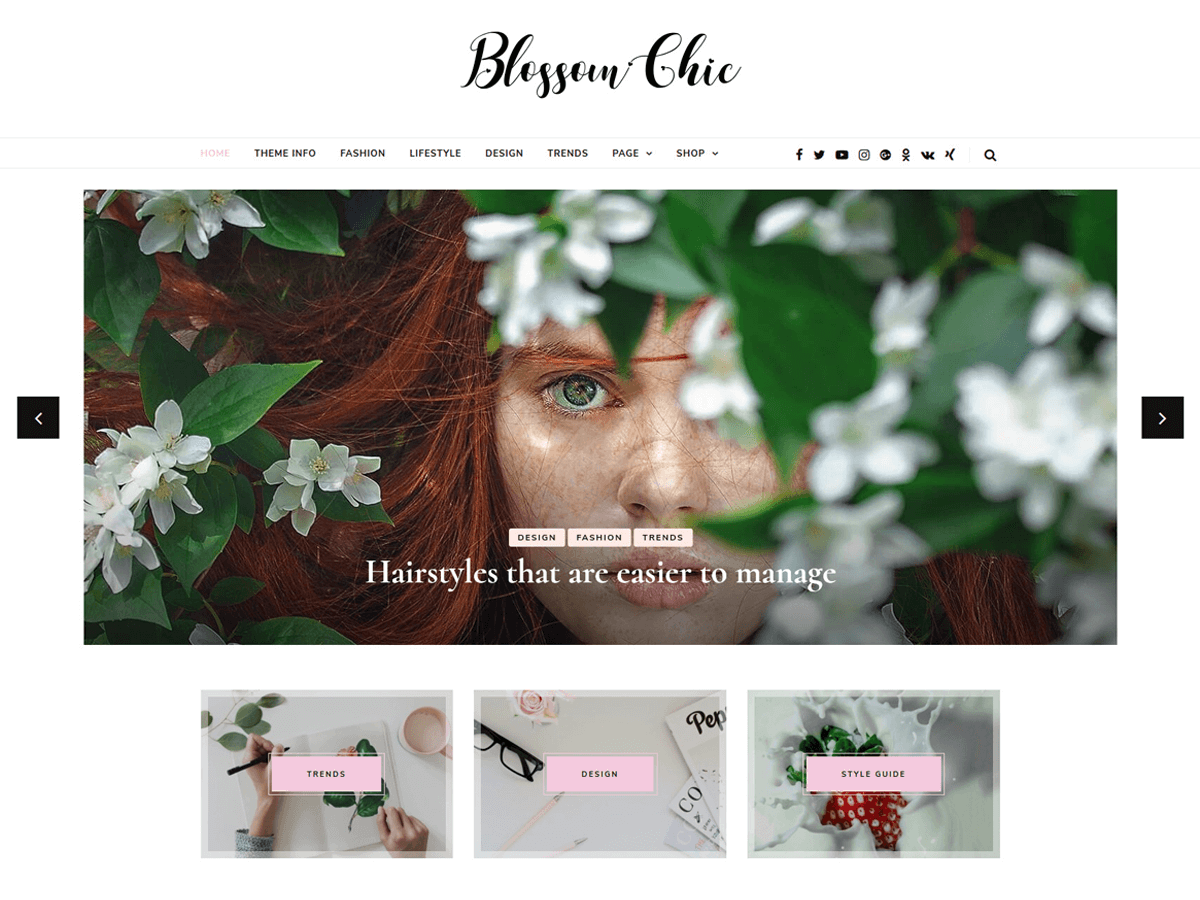 Blossom Chic Preview Wordpress Theme - Rating, Reviews, Preview, Demo & Download
