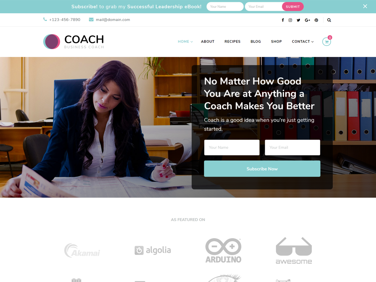 Blossom Coach Preview Wordpress Theme - Rating, Reviews, Preview, Demo & Download
