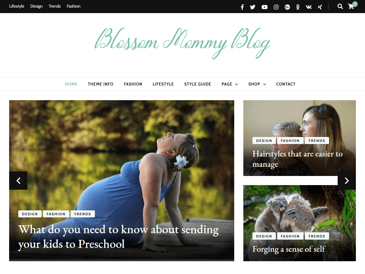 Blossom Mommy Preview Wordpress Theme - Rating, Reviews, Preview, Demo & Download