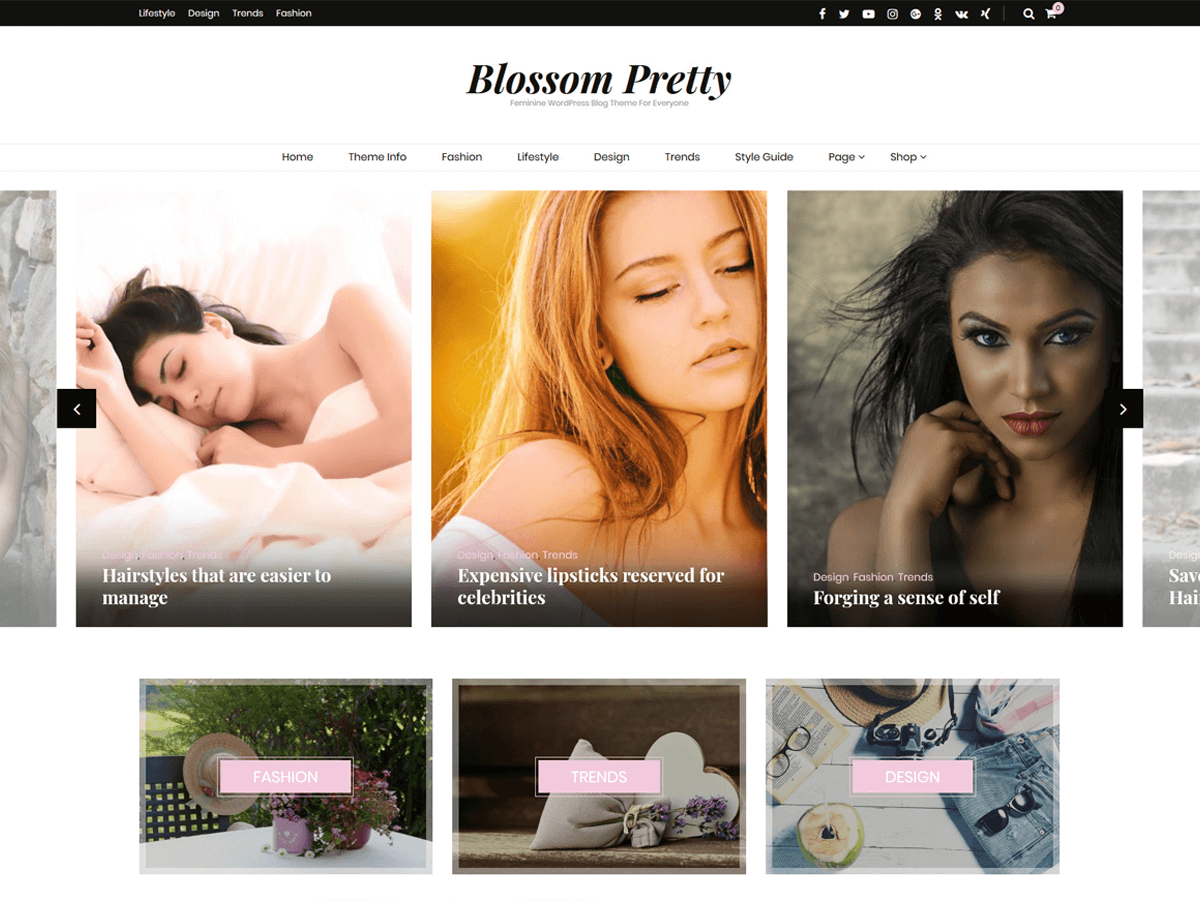 Blossom Pretty Preview Wordpress Theme - Rating, Reviews, Preview, Demo & Download
