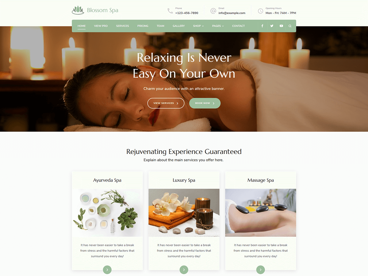 Blossom Spa Preview Wordpress Theme - Rating, Reviews, Preview, Demo & Download