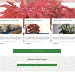 Bonsai Blog