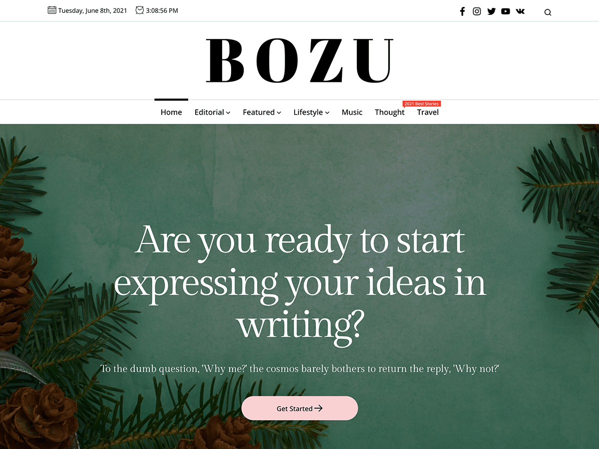 Bozu Preview Wordpress Theme - Rating, Reviews, Preview, Demo & Download