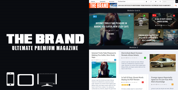 Brand Preview Wordpress Theme - Rating, Reviews, Preview, Demo & Download