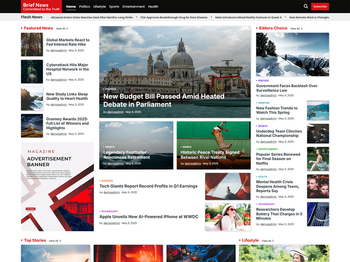 Brief News Preview Wordpress Theme - Rating, Reviews, Preview, Demo & Download