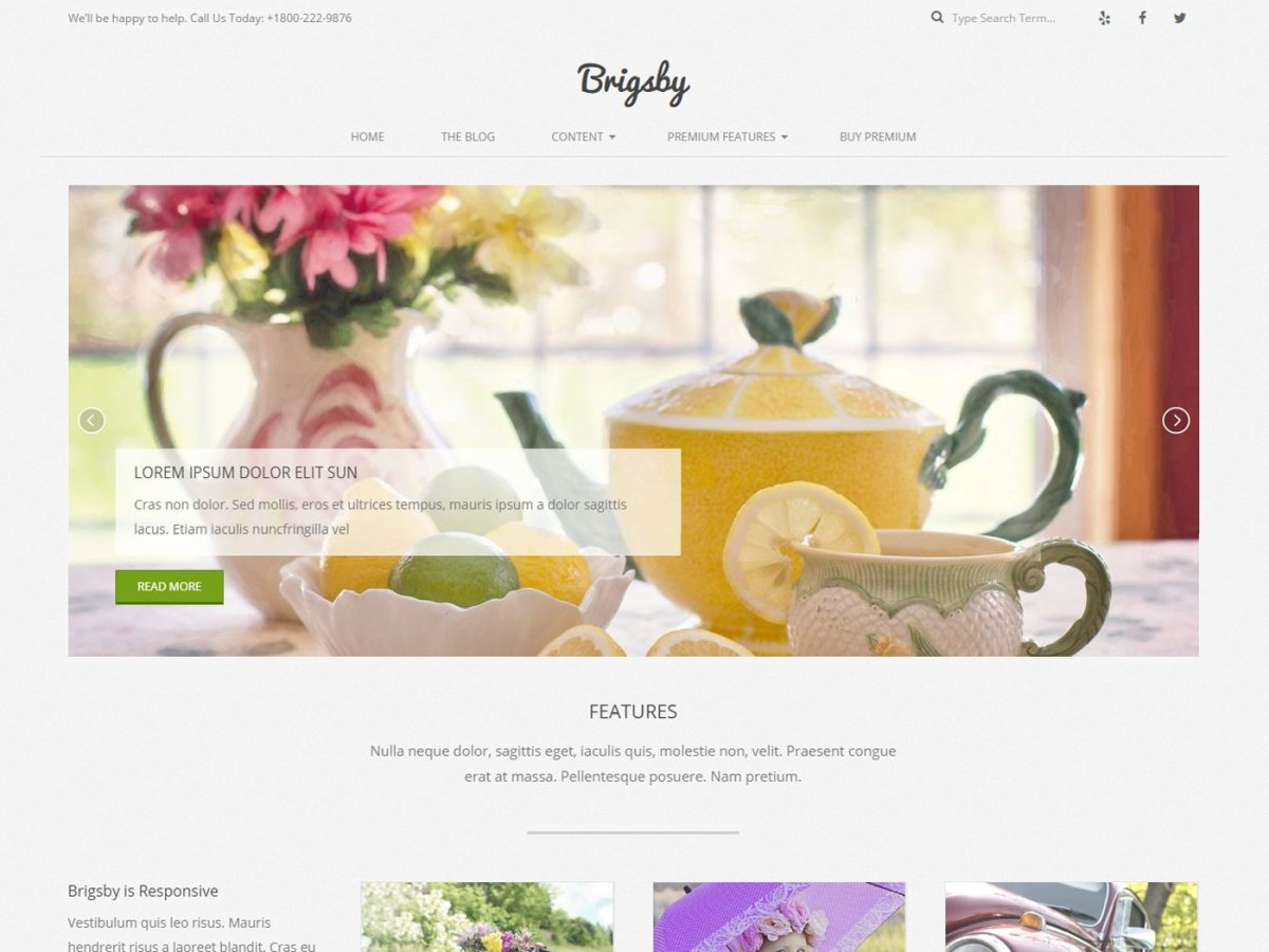 Brigsby Preview Wordpress Theme - Rating, Reviews, Preview, Demo & Download