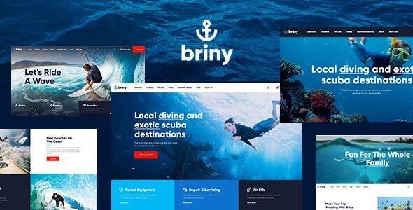 Briny Preview Wordpress Theme - Rating, Reviews, Preview, Demo & Download