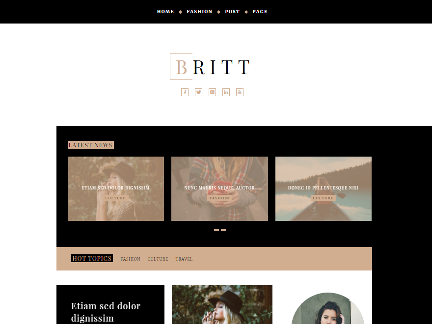 Britt Preview Wordpress Theme - Rating, Reviews, Preview, Demo & Download