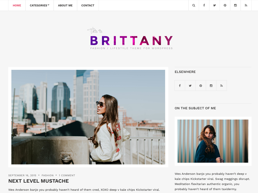 Brittany Light Preview Wordpress Theme - Rating, Reviews, Preview, Demo & Download