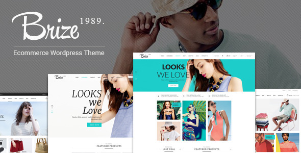 Brize Preview Wordpress Theme - Rating, Reviews, Preview, Demo & Download