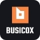 Busicox