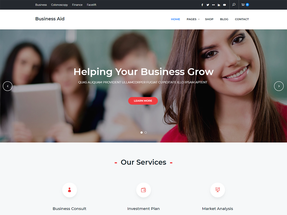 Business Aid Preview Wordpress Theme - Rating, Reviews, Preview, Demo & Download
