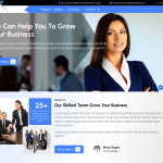 Business Analyst
