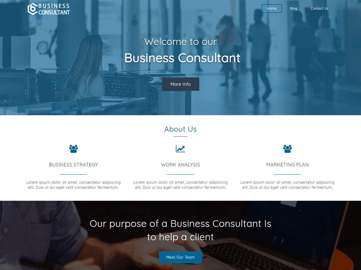 Business Consultant Preview Wordpress Theme - Rating, Reviews, Preview, Demo & Download