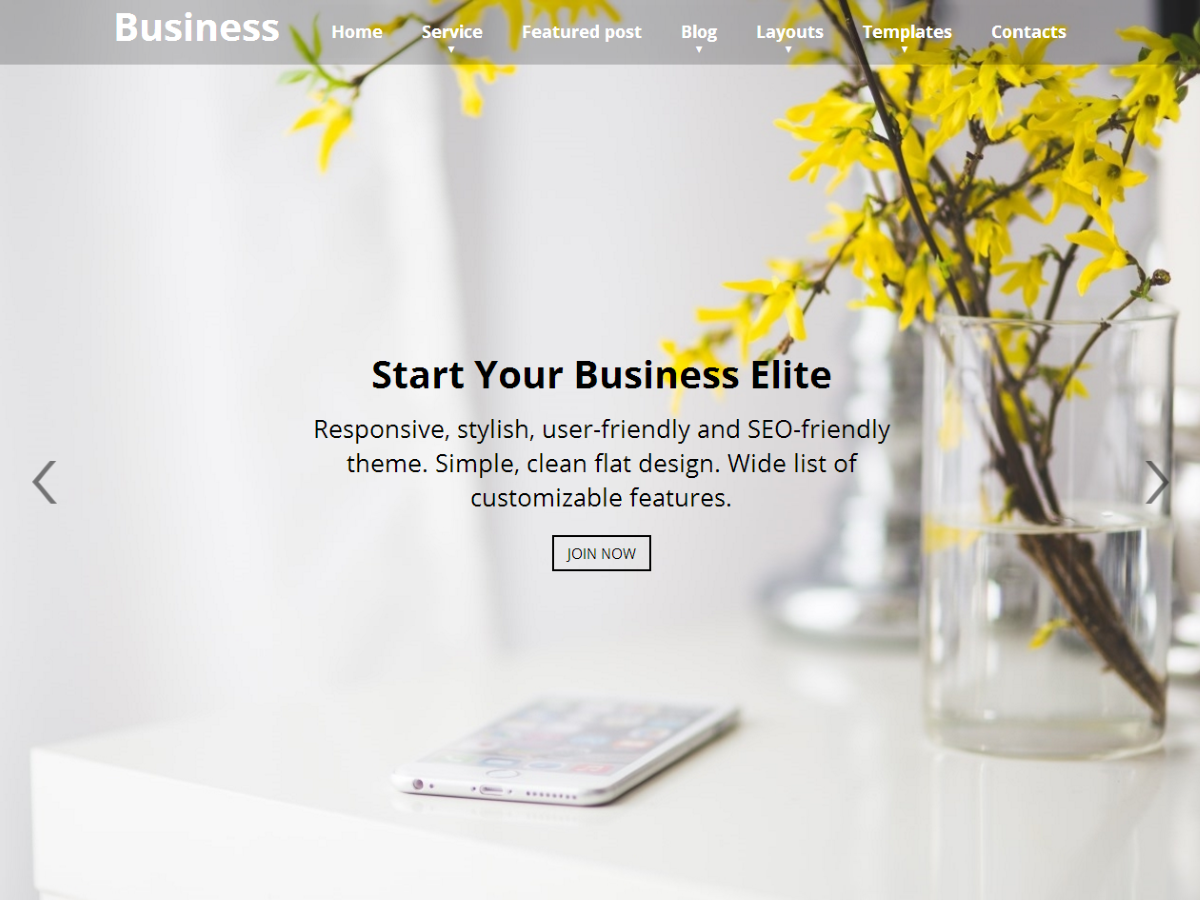 Business Elite Preview Wordpress Theme - Rating, Reviews, Preview, Demo & Download