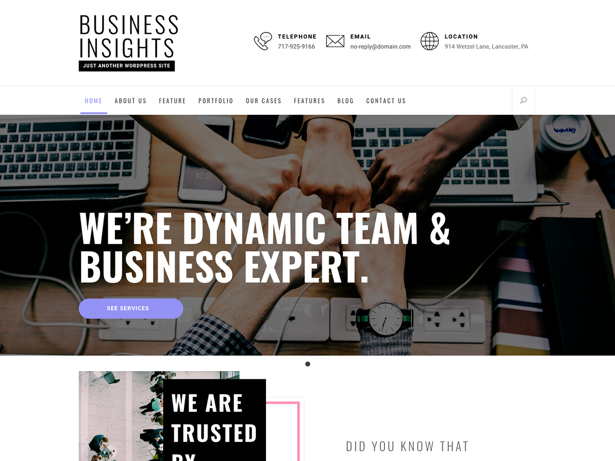 Business Insights Preview Wordpress Theme - Rating, Reviews, Preview, Demo & Download
