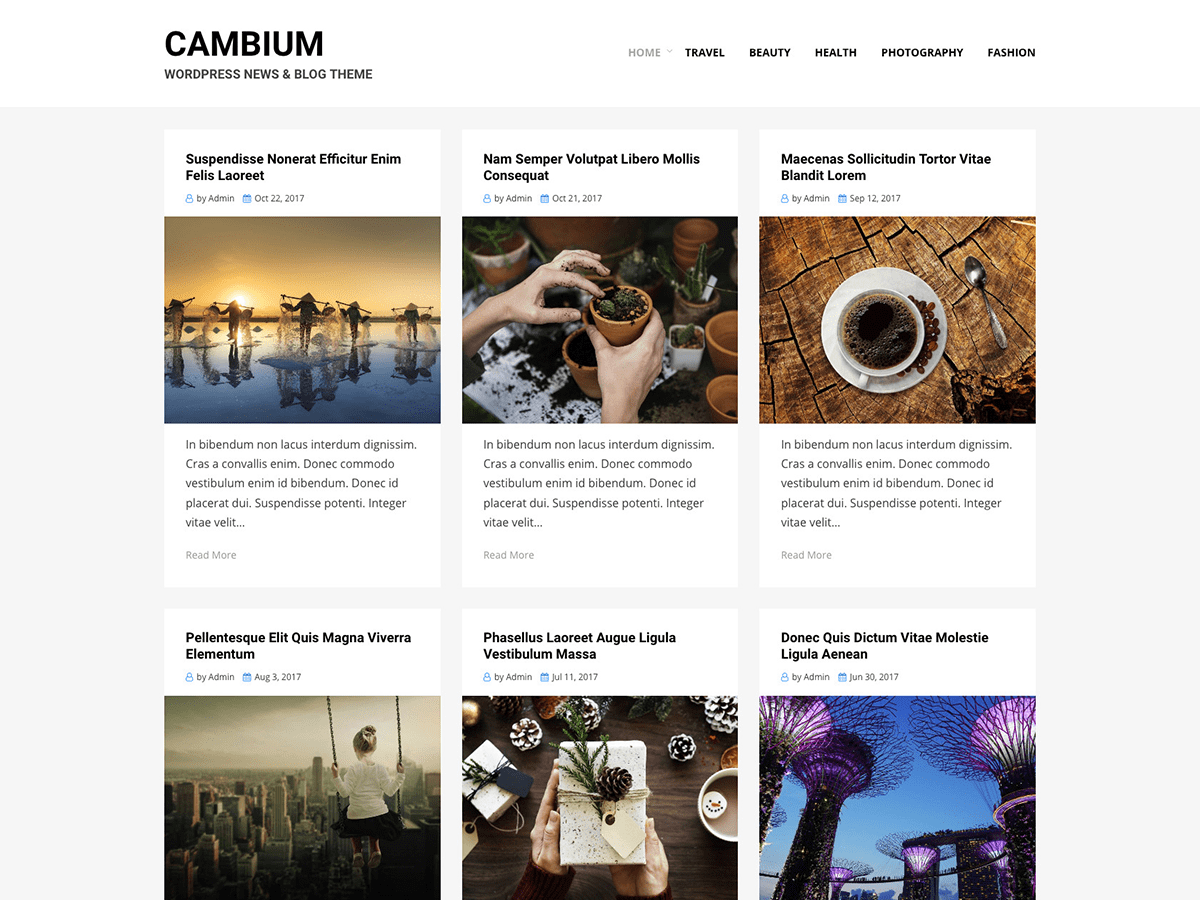 Cambium Preview Wordpress Theme - Rating, Reviews, Preview, Demo & Download