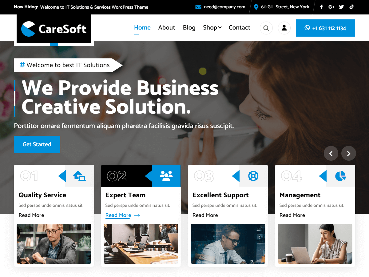 CareSoft Preview Wordpress Theme - Rating, Reviews, Preview, Demo & Download