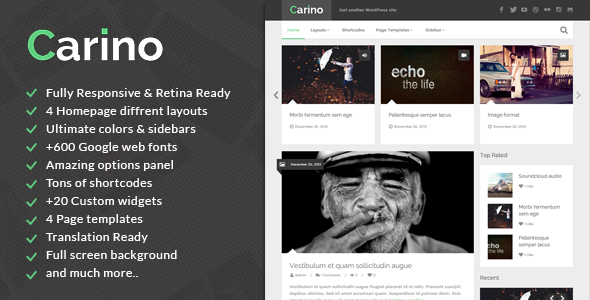 Carino Preview Wordpress Theme - Rating, Reviews, Preview, Demo & Download