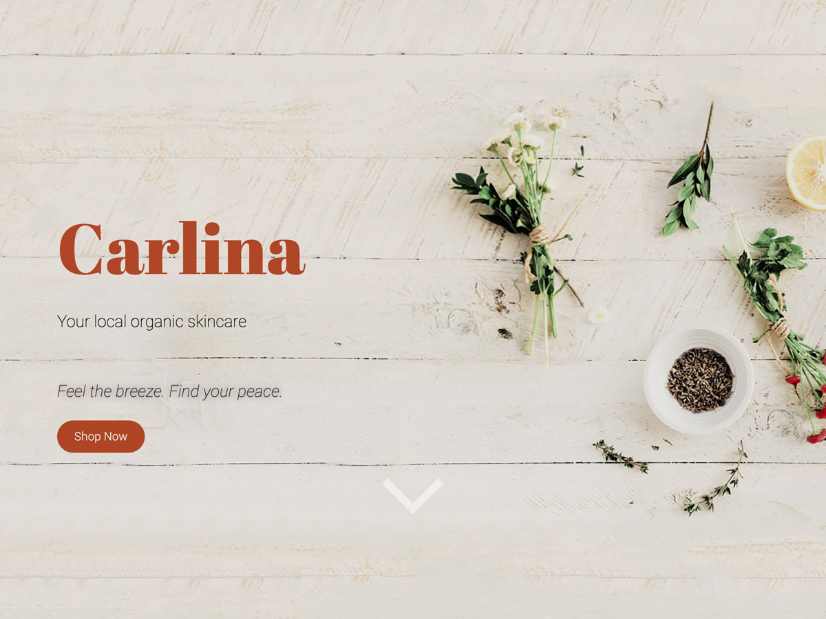 Carlina Preview Wordpress Theme - Rating, Reviews, Preview, Demo & Download