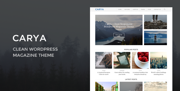 Carya Preview Wordpress Theme - Rating, Reviews, Preview, Demo & Download